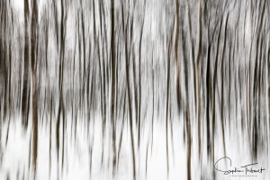 Aquarelle hivernale